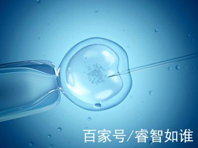 试管代妈公司代生生男孩